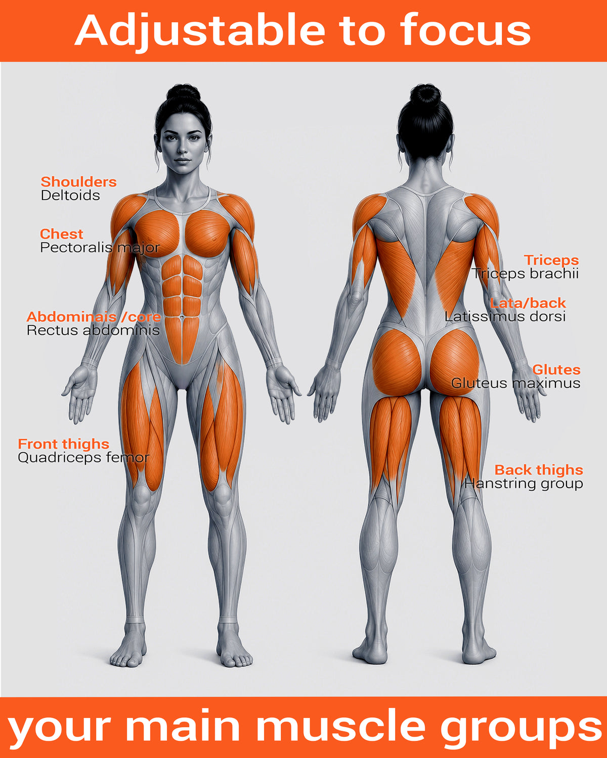 6-in-1 NO-GYM  HOME FITNESS SYSTEM